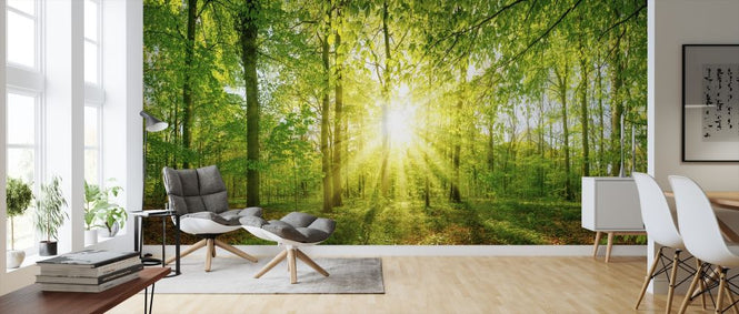 PHOTOWALL / Sunlight in the Forest (e318274)