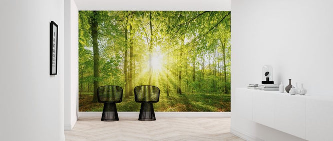 PHOTOWALL / Sunlight in the Forest (e318274)