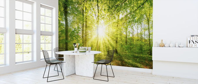 PHOTOWALL / Sunlight in the Forest (e318274)