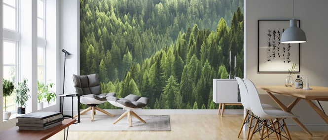PHOTOWALL / Green Trees in Forest (e318278)