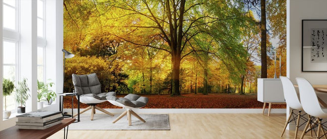 PHOTOWALL / Forest in Autumn (e318285)