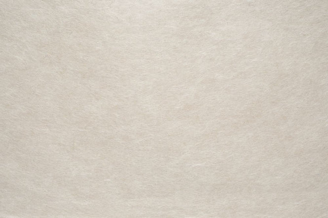 PHOTOWALL / Washi Paper (e318163)