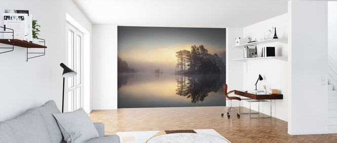 PHOTOWALL / Sunrise in the Forest (e318400)