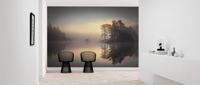 PHOTOWALL / Sunrise in the Forest (e318400)