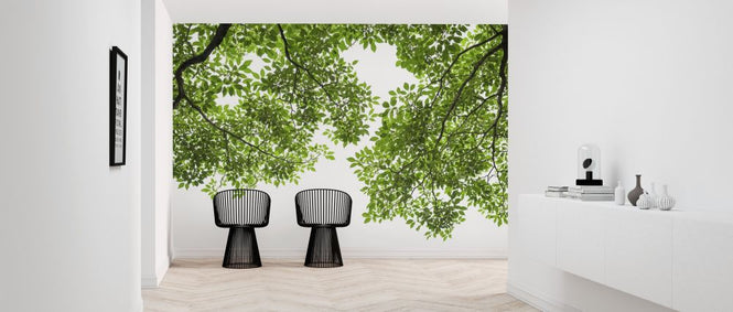 PHOTOWALL / Tree Branches and Leaves (e318401)