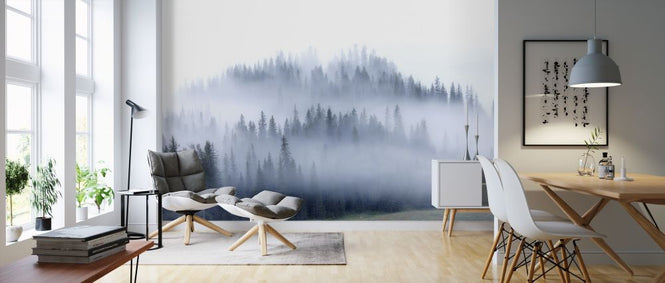 PHOTOWALL / Kansas Morning Fog (e318508)