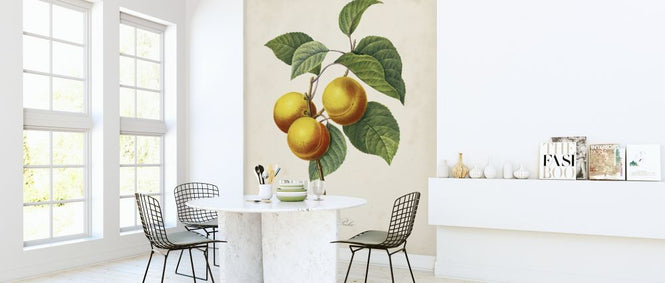 PHOTOWALL / Redoute’s Fruit (e320508)