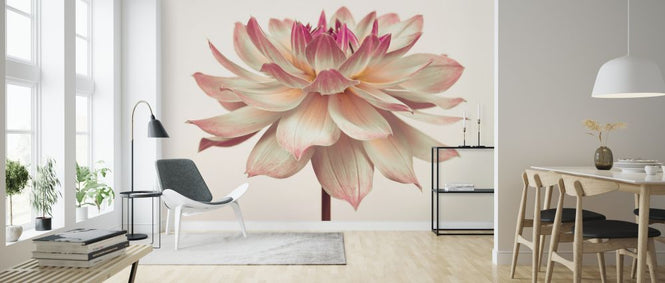 PHOTOWALL / Dahlia Flower (e320983)