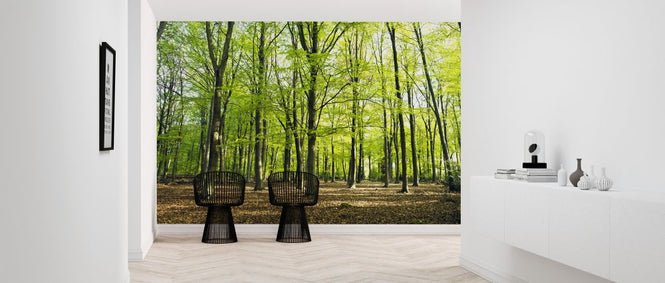 PHOTOWALL / Pleasant Forest (e320994)
