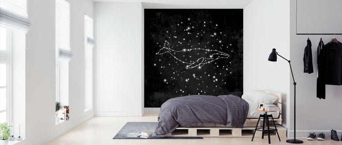 PHOTOWALL / Whale Constellation (e320096)