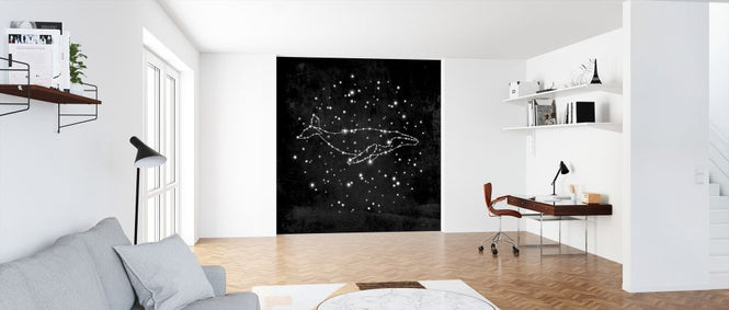PHOTOWALL / Whale Constellation (e320096)