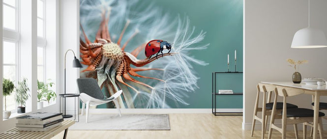 PHOTOWALL / Freedoom (e320732)