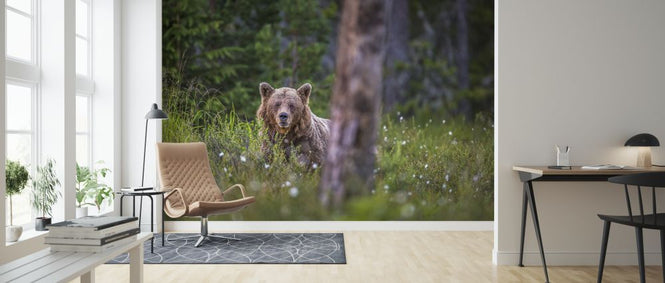 PHOTOWALL / Bear Forest (e321717)