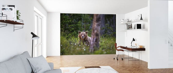 PHOTOWALL / Bear Forest (e321717)