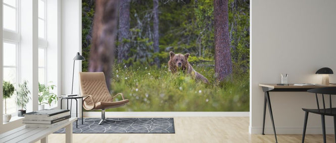 PHOTOWALL / Bear Forest II (e321718)