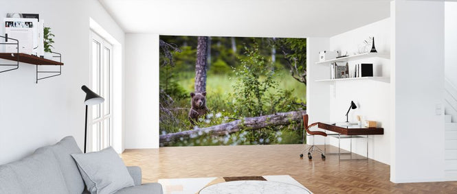 PHOTOWALL / Bear Forest III (e321719)
