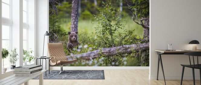 PHOTOWALL / Bear Forest III (e321719)