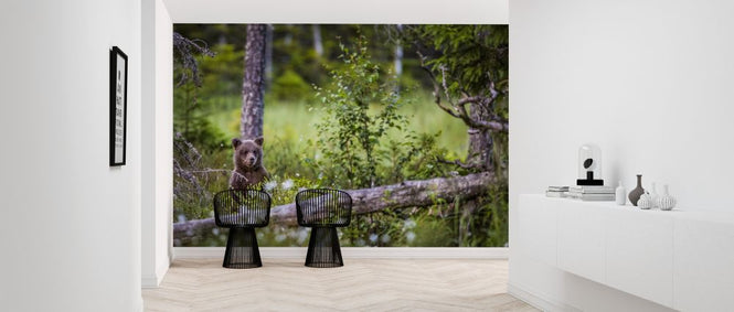 PHOTOWALL / Bear Forest III (e321719)