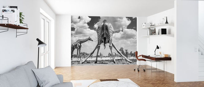 PHOTOWALL / Spread'em - Monochrome (e321817)