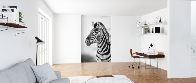 PHOTOWALL / Zebra Dazzle IIII (e321828)