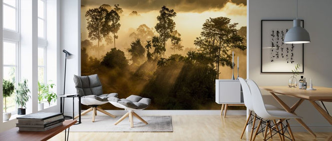 PHOTOWALL / Rainforest Light (e321851)