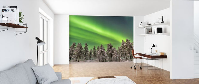 PHOTOWALL / Enchanted Forest (e321852)