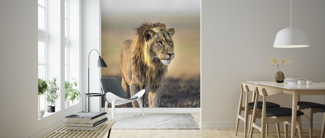 PHOTOWALL / Royal II (e321883)