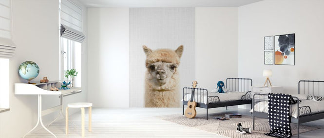 PHOTOWALL / Alpaca (e322751)