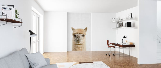 PHOTOWALL / Alpaca (e322751)