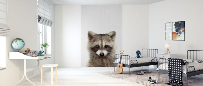 PHOTOWALL / Raccoon (e322761)