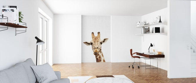 PHOTOWALL / Giraffe (e322762)
