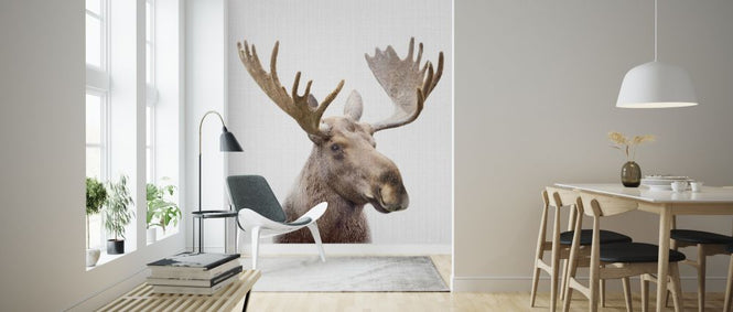 PHOTOWALL / Moose (e322765)