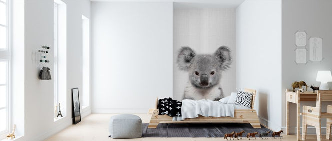 PHOTOWALL / Baby Koala (e322766)