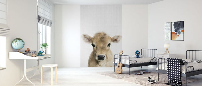 PHOTOWALL / Calf (e322779)