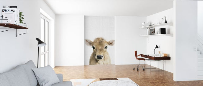 PHOTOWALL / Calf (e322779)