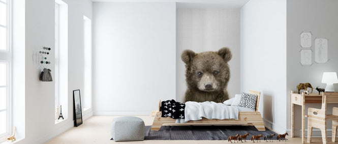 PHOTOWALL / Baby Bear (e322781)