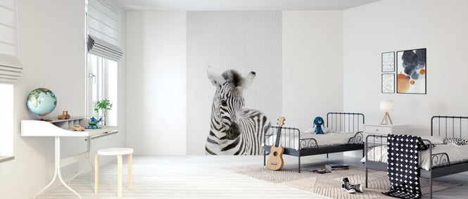 PHOTOWALL / Baby Zebra (e322790)