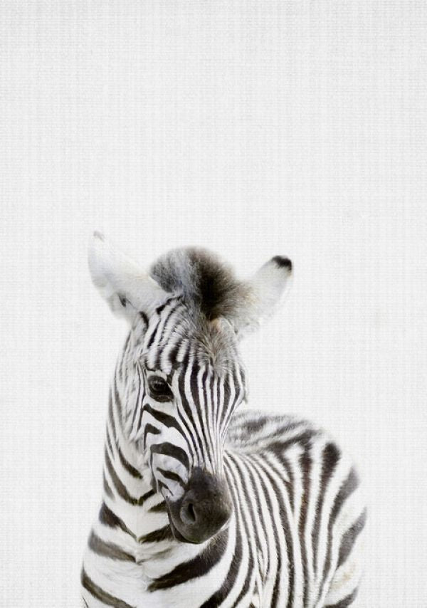 Zoom
