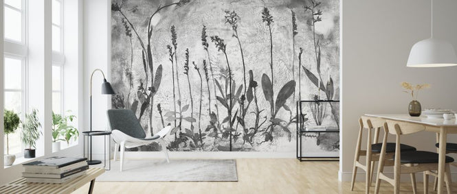 PHOTOWALL / Orchidaceae (e323117)