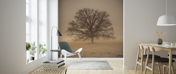 PHOTOWALL / Epic Tree (e321079)