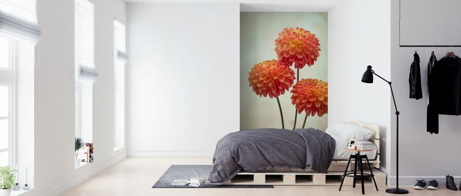 PHOTOWALL / Red - Dahlias (e321085)