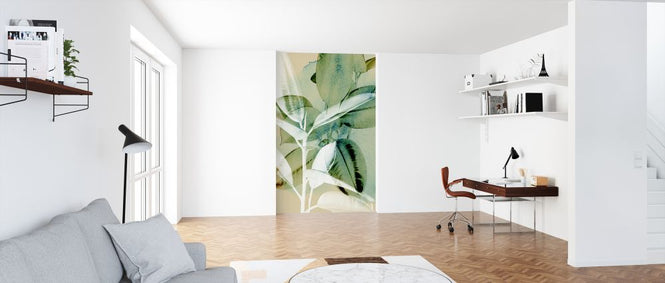 PHOTOWALL / Ficus Elastica (e322867)