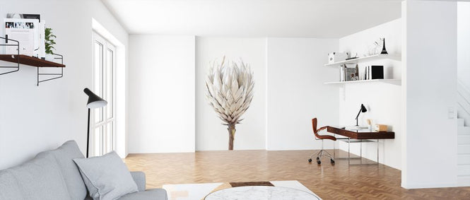 PHOTOWALL / Protea III (e322872)