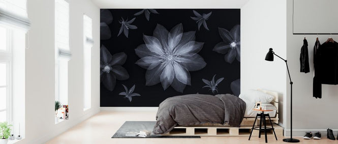 PHOTOWALL / Clematis (e321108)