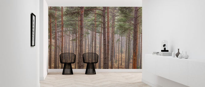 PHOTOWALL / Forest (e321109)