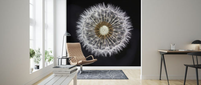 PHOTOWALL / Dandelion Clock (e321112)