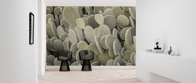 PHOTOWALL / Cacti (e321127)