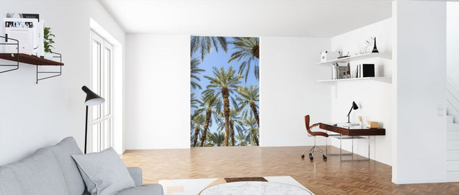 PHOTOWALL / Palm Trees (e321152)