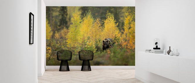 PHOTOWALL / Brown Bear in Autumn Forest (e320146)