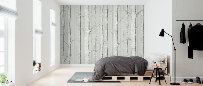 PHOTOWALL / Birch Trees - Soft Green (e323696)